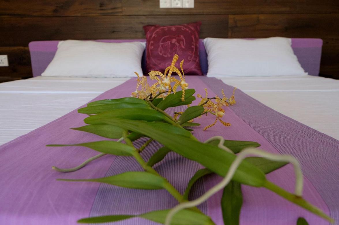 Sanda Eliya Resort Bentota Exteriér fotografie