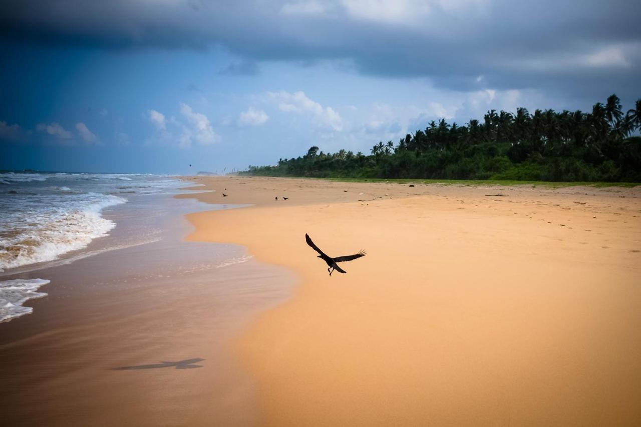 Sanda Eliya Resort Bentota Exteriér fotografie