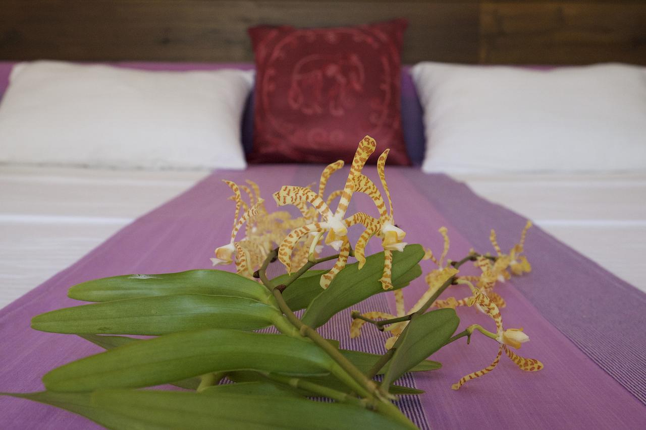 Sanda Eliya Resort Bentota Exteriér fotografie